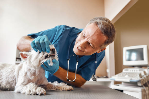Best Dentist for Tooth Abscess  in Buenaventura Lakes, FL