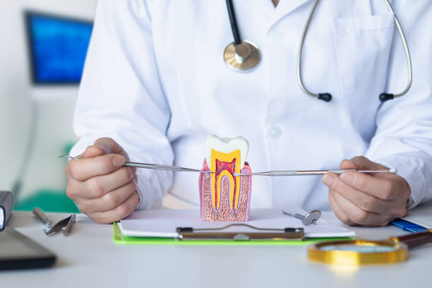Best Emergency Gum Pain Relief  in Buenaventura Lakes, FL